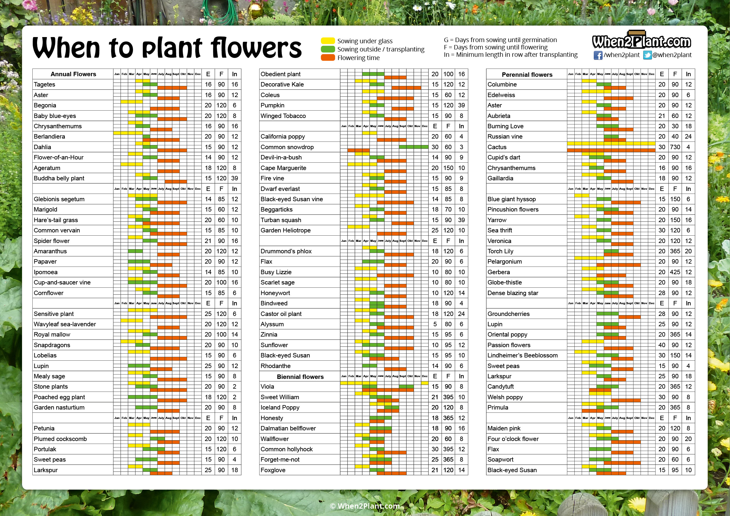 When to plant flowers calendar information